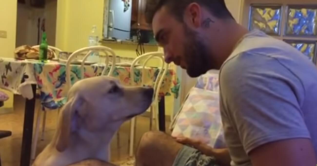 Puppy Apologizes To Owner In Heart-melting Way