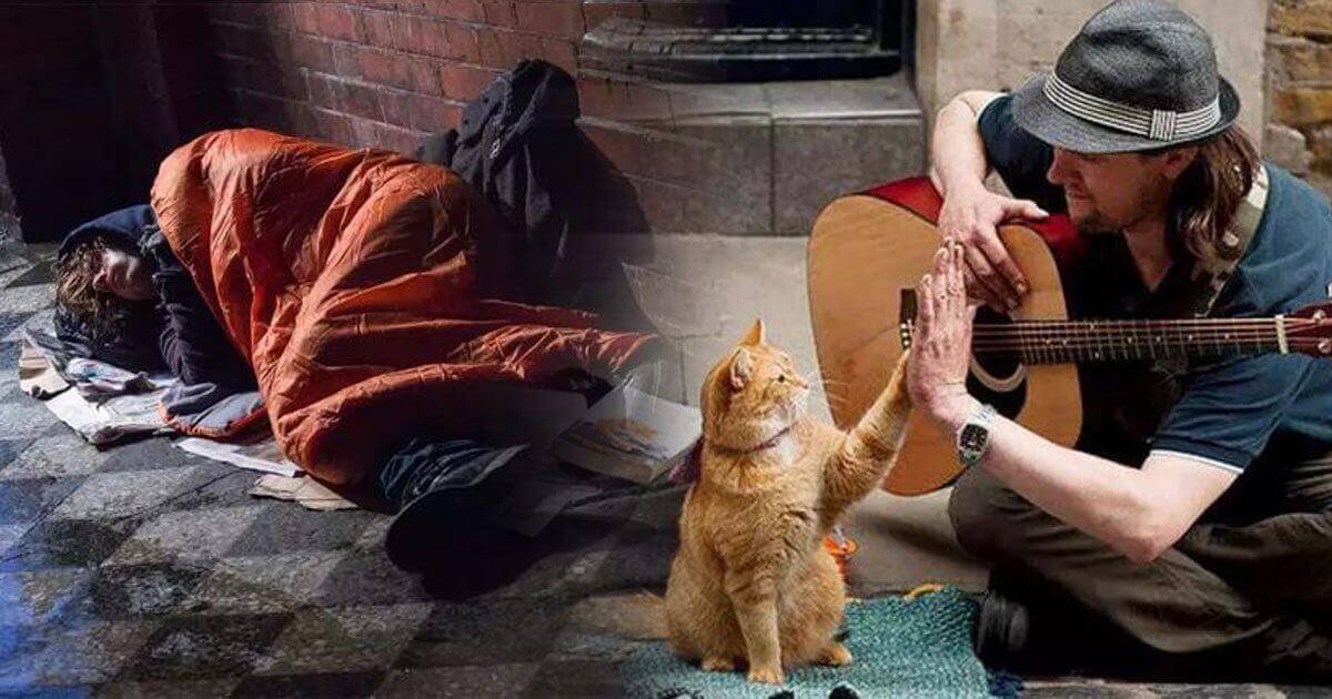 Meet Bob The Street Cat, Who Helped A Homeless Man Turn His Life Around