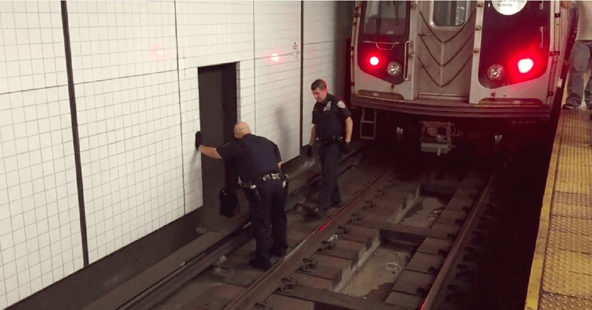 Police Stopped A Train And Jumped Into Subway Tracks To Rescue A Scared Cat