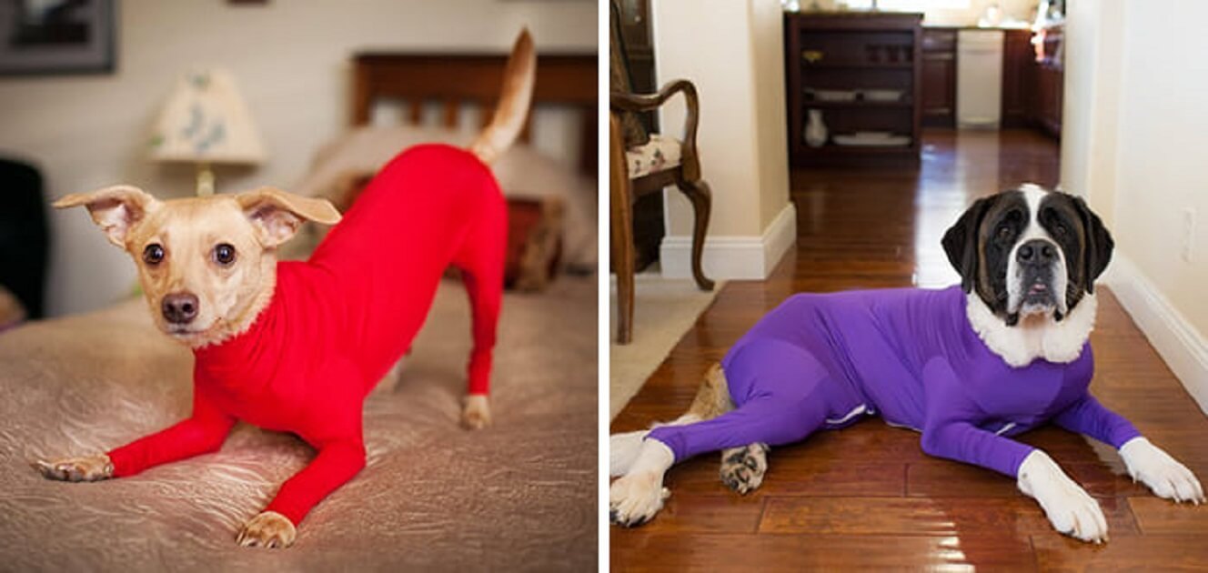 Amazon Is Selling Dog Pajamas That Stop Your Dogs From 