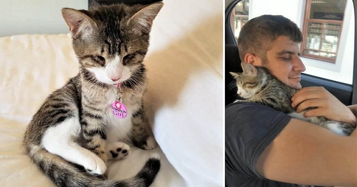 Blind Abandoned Kitten Can't Stop Hugging Her New Dad After Being Adopted