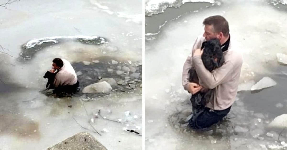 Man Risks His Life, Jumps Into Frozen Water To Save Drowning Dog