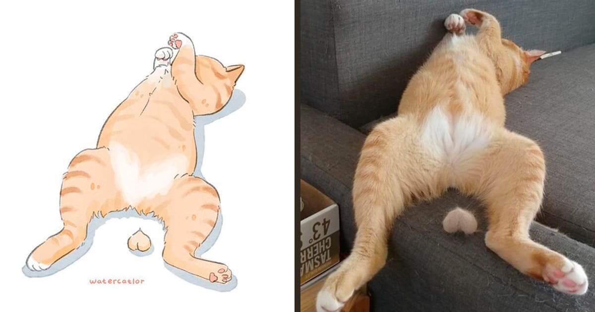 Artist Turns Funny Cat Photos And Memes Into Cute Watercolor Illustrations