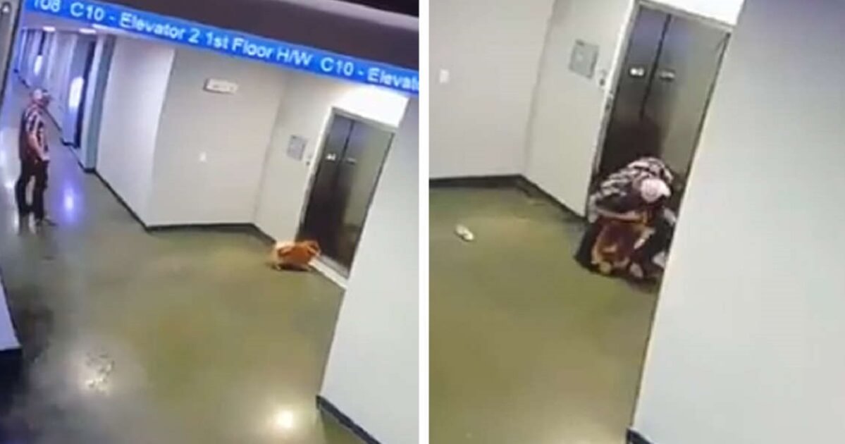 Heroic Man Saves Neighbor's Dog Whose Leash Gets Stuck In Moving Elevator